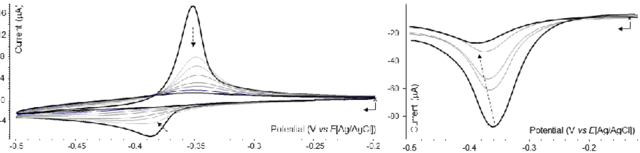 Figure 10. Voltammetric curves of an aqueous (phosphate buffer, 0.1 M) solution of 1Zn(PF 6 ) 8  (2 × 10 -4 M) recorded at a non- non-stationary carbon working electrode (Ø = 3 mm, E(V) vs