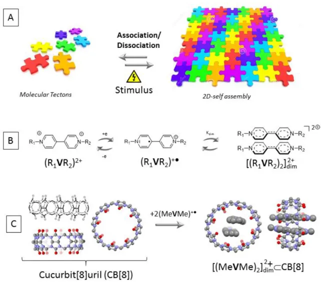 Figure  1.  Schematic  representation  of  A)  a  stimuli-responsive  2D-self-assembly  process,  B)  the  electron-triggered  - -dimerization of two viologen-based cation radicals