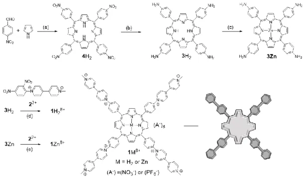 Figure 2. Elaboration of the tetrakis(methyl-phenyl-viologen)porphyrins. (a) EtCO 2 H, Ac 2 O, reflux, 4 h, 30%; (b) SnCl 2 ·2H 2 O,  conc