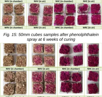 Fig. 16: 50mm cubes samples after phenolphthalein  spray at 9 weeks of curing 