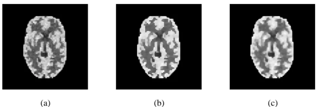 Figure 4: Comparisons of line profile at column 64 of reconstructed images.     