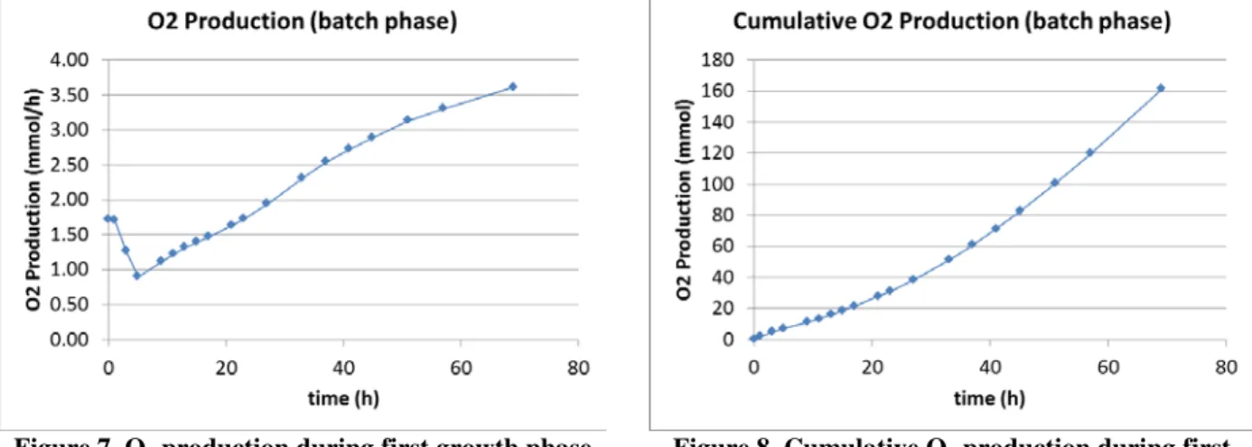 Figure 7. O 2  production during first growth phase  after inoculation (biomass density raising from 0.24 