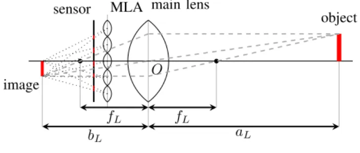 Figure 2. Zoom on a plenoptic raw image.