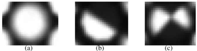 Figure 5. Zoom on a raw image with detected micro-images centers.
