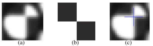 Figure 10. A point P is projected through the MLA: (a) global view, (b) zoom on two micro-lenses.