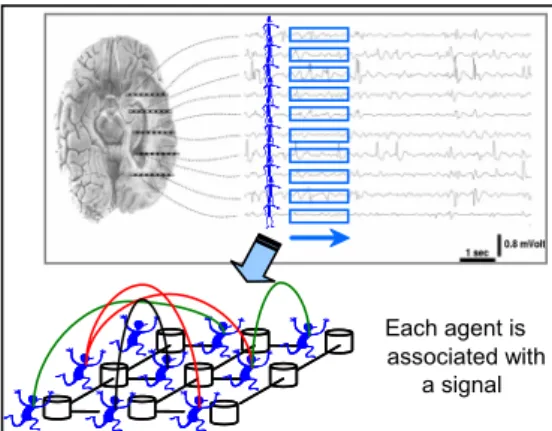 Fig. 1.  Vectorial analysis of epileptic signals: Each agent has its own  choices, knowledge, and algorithms processes