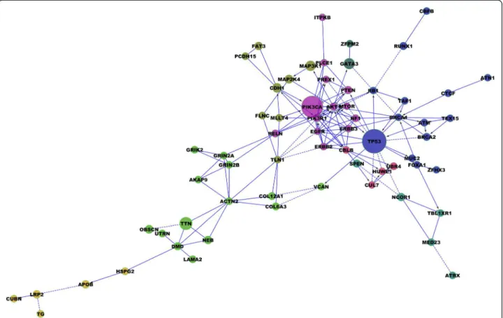 Figure 2 Subnetwork representation of protein interactions based on 78 mutated genes in 602 breast cancers [1-3]