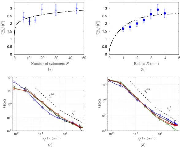 FIG. 4. Top: Evolution of the standard deviation of the concentration in glass bubbles C std ∞ / C  as a function of (a) the number of swimmers N ∈ [7, 45] with radius R = 2.5 mm; (b) the radius R ∈ [1, 4] with N = 15 swimmers