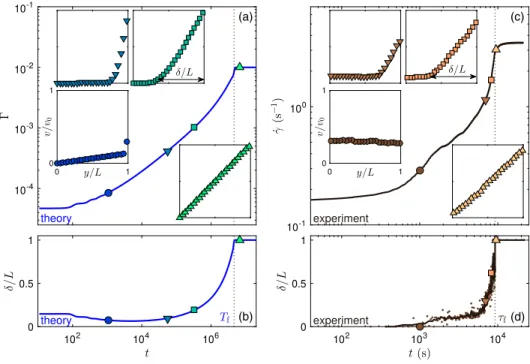 FIG. 2. Stress-induced fluidization dynamics in (a),(b) theory and (c),(d) experiment on a 1 wt% Carbopol microgel in a smooth concentric cylinder geometry of gap 1 mm