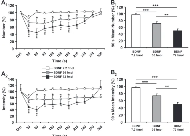 Fig. 2. BDNF microinjections within the central pattern generator of swallowing (SwCPG) inhibited rhythmic swallowing triggered by SLN stimulation