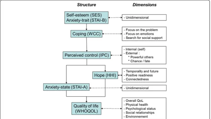 Fig. 1 Construct of the psychological model enabling evaluation of the study endpoints