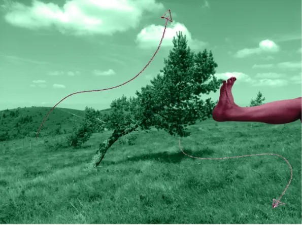 Fig 1-2, p. 18: Dendromité, 2017. Stills from video.  Above: Geodesic dome around the tree 