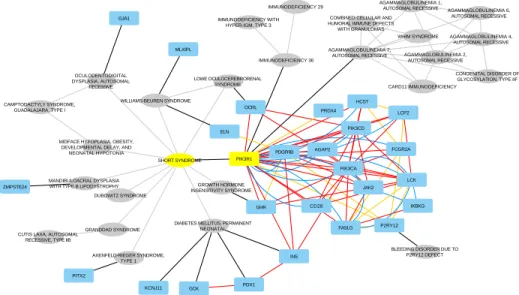 Figure 7: Network representation of the top 25 ranked genes and diseases when RWR-MH is executed using SS as seed disease and PIK3R1 as seed gene (yellow nodes)