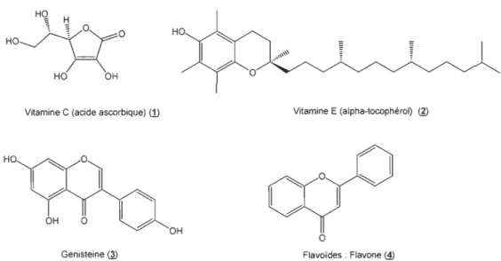 Figure 1.3  Exemple d'antioxydants exogènes . 