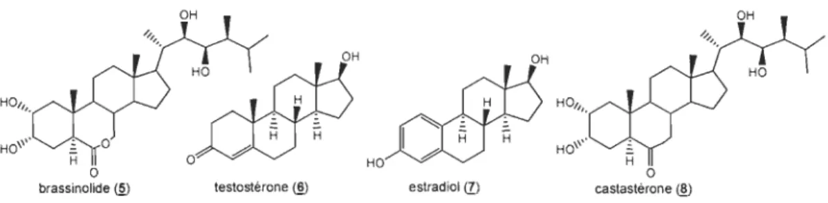 Figure 1.4  Ressemblances  structurales  entre  le  brassinolide,  la  testostérone,  l'estradiol et la  castastérone