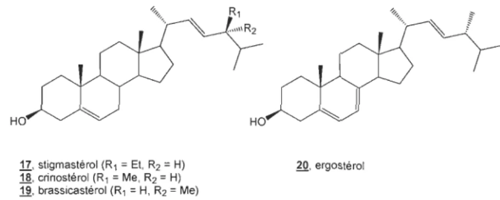 Figure 2.1  Les  produits de départ les  plus utilisés dans la  synthèse de  BRs. 