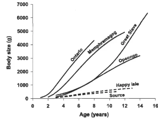 Figure 1.3:  Évolution  de  la  taille  de  touladi  en  fonction  de  leur  âge  pour  des  populations  piscivores  (trait  plein)  et non-piscivores  (trait  hachuré)  (Tiré  de Martin,  1966)