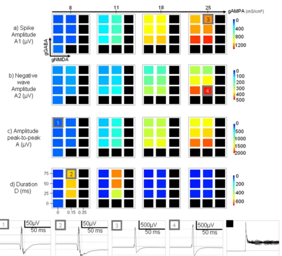 Figure 6: Color-coded maps showing the influence of model parameters (conductances associated with excitatory and inhibitory currents) on morphological  features of simulated epileptic spikes (a-d)