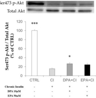 Figure 3. Effects of chronic insulin and LCn-3PUFA on insulin signaling in mature adipocytes.