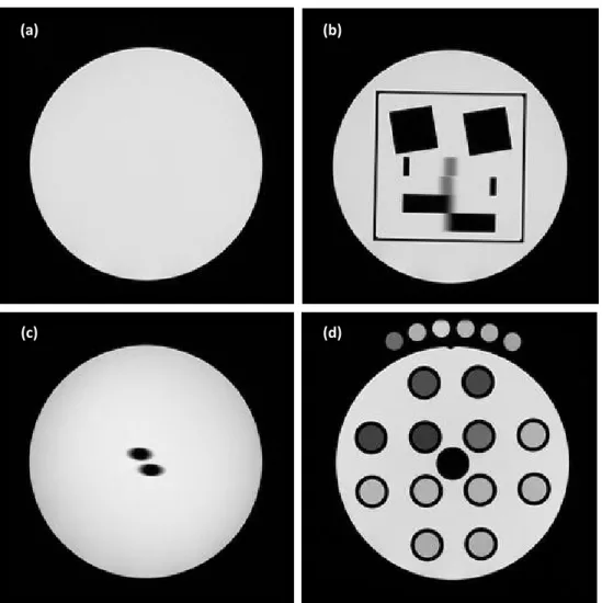 Fig. S1 Transversal MRI slice images of the Test Objects (a) TO1, (b) TO2,  (c) TO3, (d) TO4 and a set of six tubes 