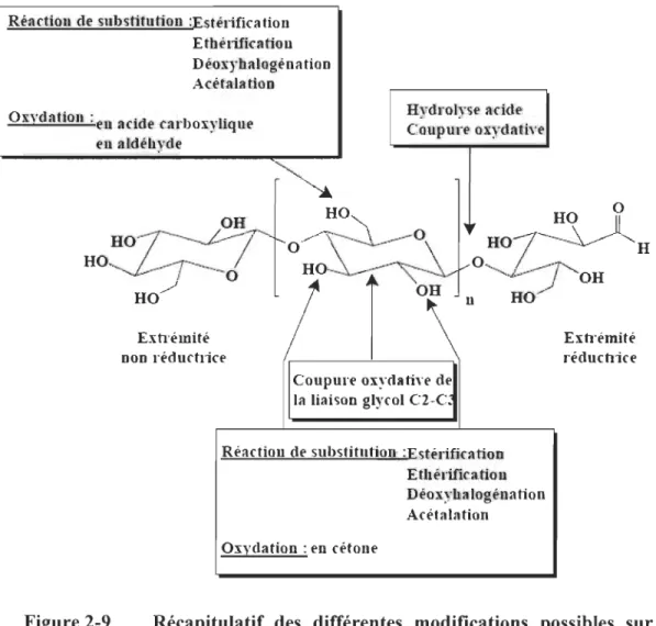 Figure 2-9  Récapitulatif  des  différentes  modifications  poss ibles  sur  la  cellulose [6] 