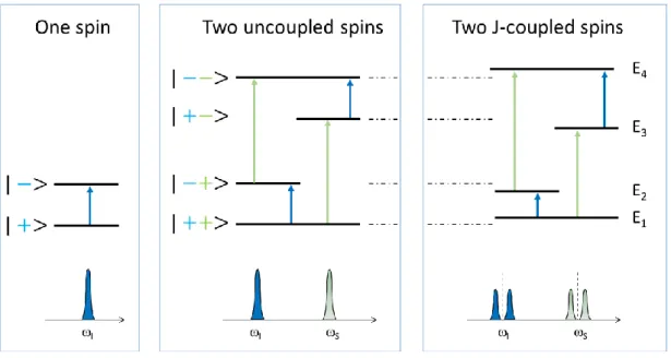 Figure  2.  The  energy  level  diagram  for  a  single  spin  (left  panel)  and  a  two-spin  system  (uncoupled spins, center panel; coupled spins, right panel)