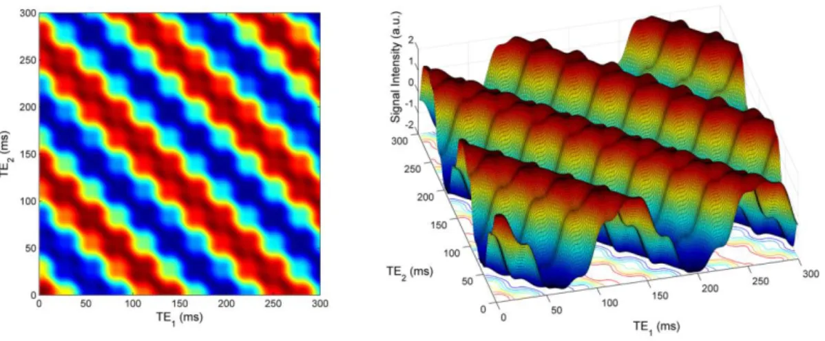 Figure 6. PRESS signal intensity of citrate at 11.7 T as a function of TE 1  and TE 2  (total echo  time TE = TE 1  + TE 2 )