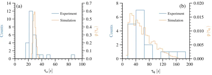 FIG. 6. Comparison of the experimentally and numerically derived amplitude and phase transient times