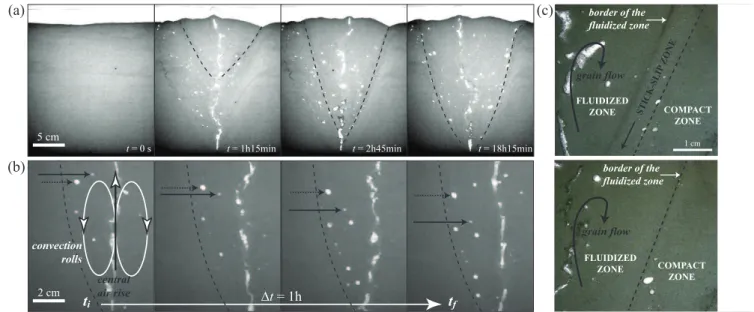 Fig. 5 (a) The growth of the fluidized zone (dashed lines) starts from the granular bed surface and propagates downwards.