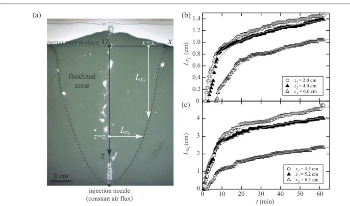 Fig. 6 Temporal evolution of the contour of the fluidized zone in the transient state