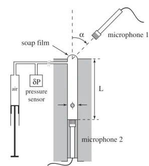 Fig. 1. Sketch of the experimental setup. The experimental setup consists of a tube (inner diameter φ ) drilled in a  plex-iglass block