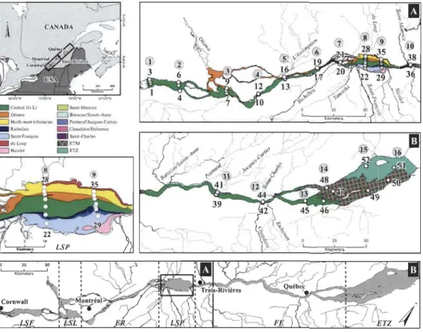 Figure 2 :  Plan d' échantillonnage  réalisé  pour la période  du  8 au  15  août 2006  et  distribution  des  masses  d'eau  dans  le  fleuve  Saint-Laurent  (FSL)