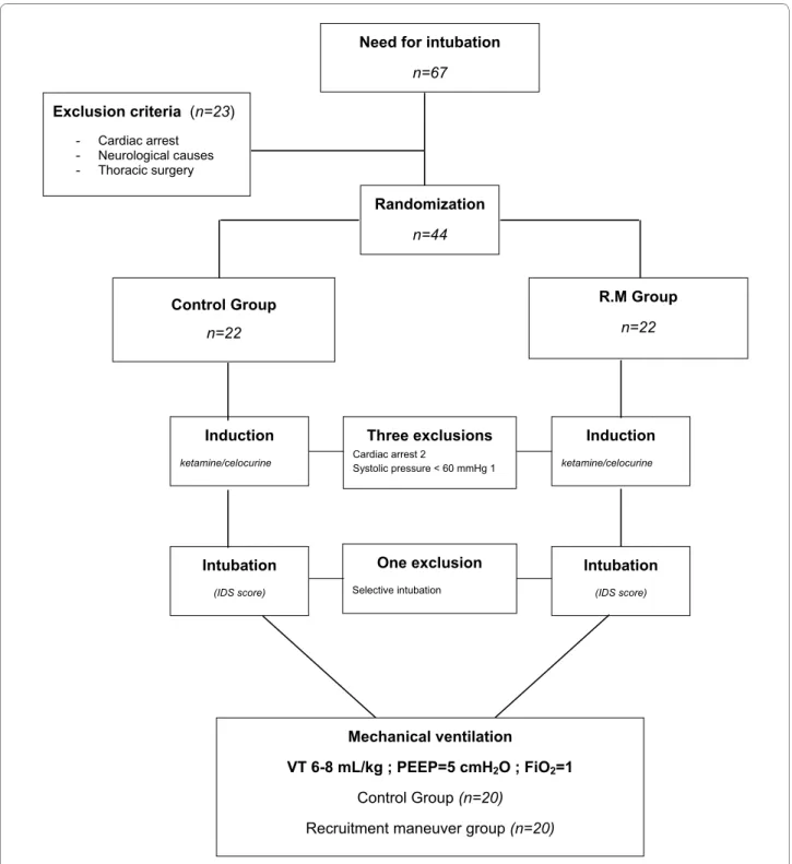 Figure 2 Flow chart of the study. From September 2007 to September 2008, 67 patients required tracheal intubation
