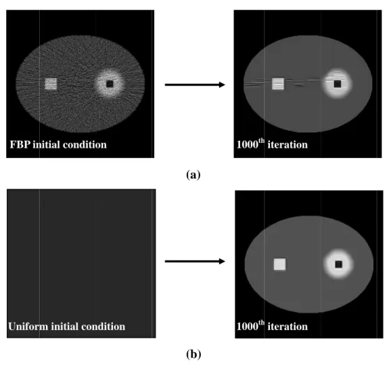 Fig. 7. Impact of different initial conditions on the reconstruction results. (a), FBP reconstructed initial image; (b), unitary initial image.