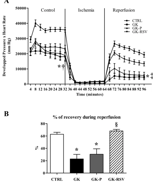 Figure 1. Myocardial function evaluated by the product of developed pressure and heart rate during  the experimental time course (A) and % of recovery during reperfusion (B)