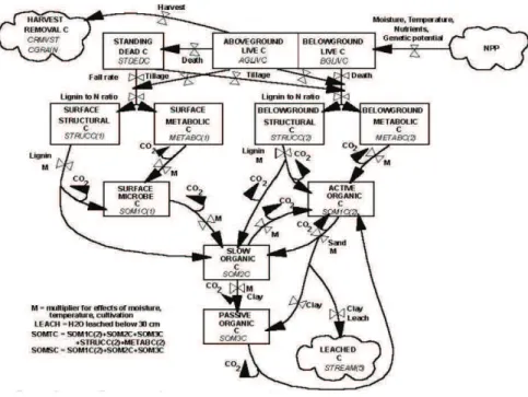 Figure 2.7: Carbon submodel in DayCent (CENTURY Tutorial)