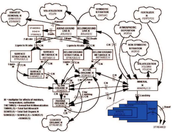 Figure 2.8: Flow diagram for the N submodel in CENTURY model version 5 (CENTURY User’s guide and References)