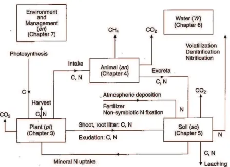 Figure 2.9: Description of the Hurley Pasture Model (Thornley (1998))