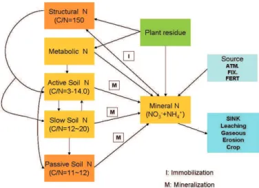 Figure 2.12: Nitrogen ﬂow in soil biology submondel in PaSim model (Based on Parton et al.