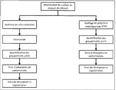 Figure 1.1  Schéma  décrivant  les  différentes  étapes  de  la  modification  des  supports d'adsorption 