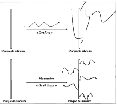 Figure 2.24  Mécanismes  de «graft to»  et  « graft from» 