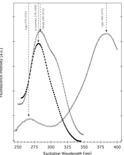 Figure 3: Fluorescence excitation spectra of the main autofluorescent contributors found in plant tissues: 