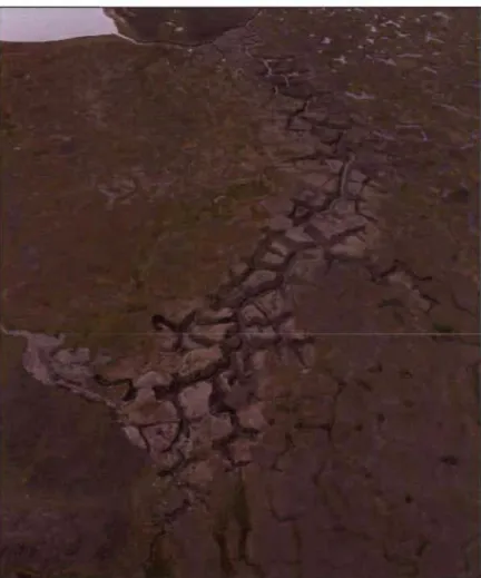 Figure 2.2 :  Oblique  aerial  view  of GuIly  A  in  August  2010,  Bylot  Island,  Nunavut  and impact on adjacent wetland vegetation