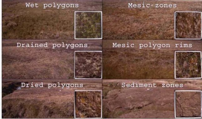 Figure 2.4:  General  view  and  close  up  of 70  cm  *  70  cm  quadrat  of six  eco-terrain  units:  low-centered  polygons  (Wet polygons,  n  =  62 ;  Drained polygons,  n  =  44;  Dried  polygons,  n  =  43),  mesic  environments  (Mesic  zones,  n  