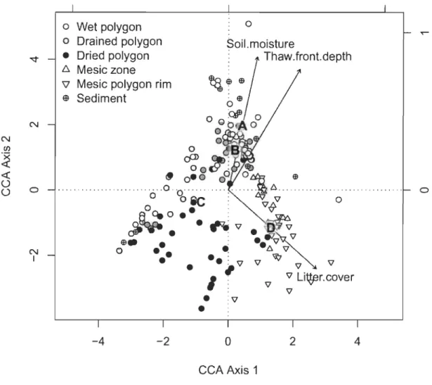 Figure 2.6:  Byplot of [Ifst two  axes  of the  canonical correspondence analysis  (CCA)  for  the  six  eco-terrain  units,  Bylot  Island,  Nunavut:  62  Wet  polygons,  44 Drained  polygons,  43  Dried  polygons,  13  Mesic  zones,  35  Mesic  polygon  
