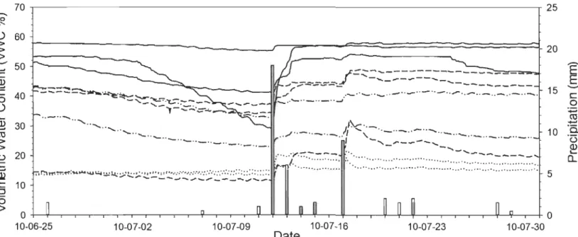 Figure 2.7 :  Rainfalls (mm) and temporal variability of top  10 cm volumetrie water content (VWC; %) according to eco-terrain units  (3  Wet polygons  =  solid lines;  3 Drained polygons  =  dash lines;  2  Dried polygons  =  dash-dot lines;  2 Mesic poly