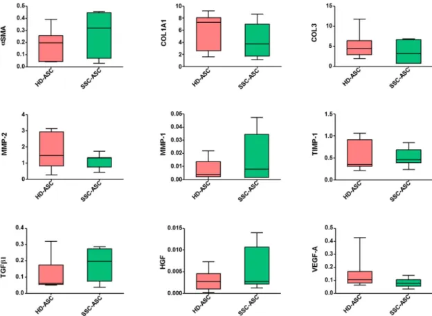 Figure 3. SSc-ASC (n = 7) and HD-ASC (n = 7) at passage 3 – 5 were assayed for mRNA expression level  of αSMA (alpha smooth muscle actin), COL1A1 (collagen type I alpha 1), COL3 (collagen type 3),  MMP-1 and MMP-2 ( matrix metalloproteinase  1 and  2), TIM