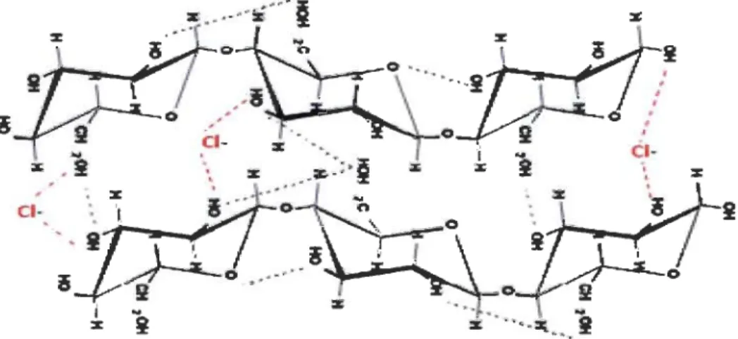 Figure 2.12  Action de l'anion dans  l'ouverture de  la  cellulose 