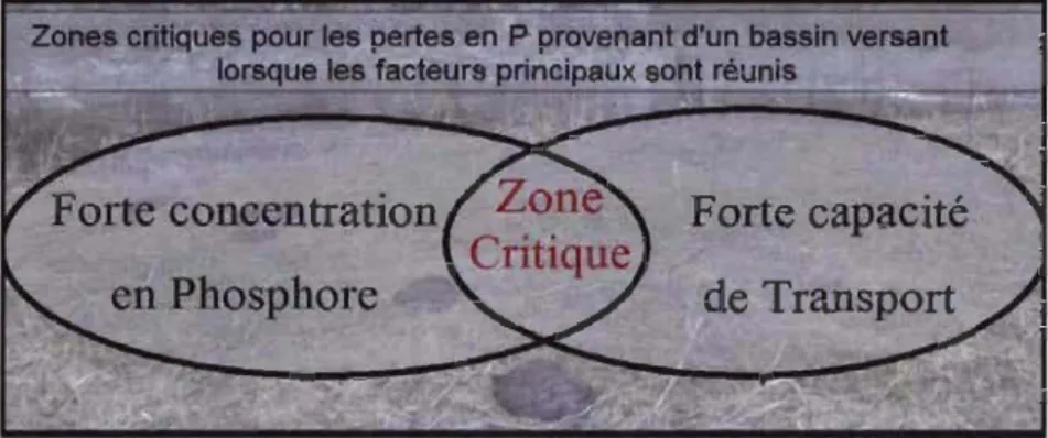 Figure 1.1:  Zones critiques pour les pertes en P provenant d'un bassin versant lorsque  les  facteurs  de  disponibilité  et  de  capacité  de  transport  sont  réunis  (adaptée de Sharpley et al., 2003)