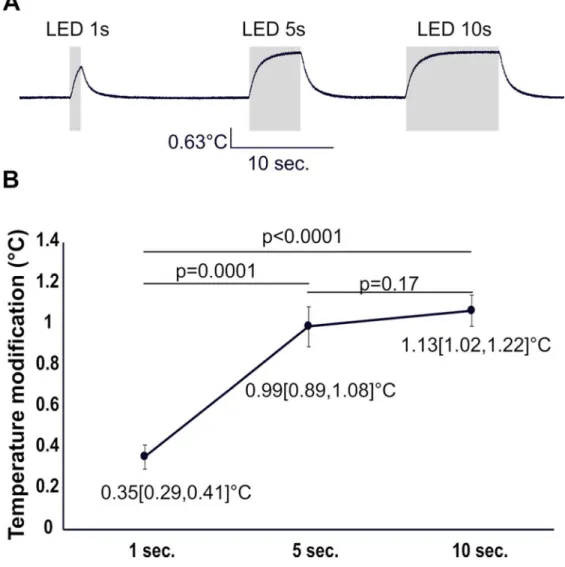 Figure 5: Modifications to slice temperatures vary with light duration. A) Example of the modification of OB  slice temperature produced by light stimulation (blue; 13 mW) of different durations